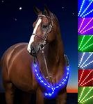 LED Horse Breastplate Collar, 6 Col