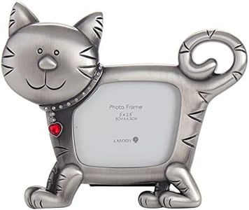 LASODY CAT