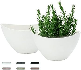 LaDoVita P