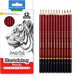 Pagos Professional Sketching Art Pencils –12 Pieces Graphite Pencils Set for Drawing – 2H, H, F, HB, B, 2B, 3B, 4B, 5B, 6B, 7B, 8B Art Travel Set - Shading Pencils,