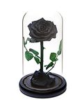 Eternal Forever Rose | Fresh Rose Gift | Single Rose Preserved for 5 Years | Handcrafted | Gifts for Women Birthday unique Unusual | Mother’s Day, Anniversary, Christmas valentine’s day (Black)