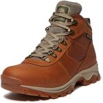 Timberland Men's Mt. Maddsen Mid Le