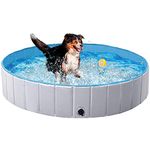 Dog Pools