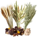 Natural Ear of Grain Flower&Herb Bedding Mate Habitat Decor, Adding Fun Hamster Accessories for Hamsters Gerbils Lemming