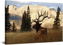 VVOVV Wall Decor Deer Pictures Elk Wall Art Wildlife Animal Painting Art Print on Canvas Stretched Framed Ready to Hang 16"x24"