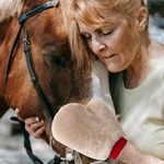 Gracefur Ultra-Soft Sheepskin Grooming Mitts for Horses – 2-in-1 Lambswool Applicator Wipe Mitt for Tack, Saddle & Boot Cleaning, Leather Care – Perfect Washing Gloves for Sensitive Horses(Pink)