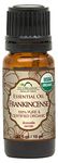 US Organic 100% Pure Frankincense Essential Oil, USDA Certified Organic, Steam Distilled, Boswellia serrata, Sourced from India, Topically or in Diffuser, Perfect for Aging Skin, All skin type (10 ml)