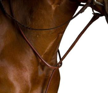 Kincade Flat Standing Martingale II, Brown, Full