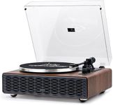 Annesburg Vinyl Record Player, Bluetooth Turntable with Built in Speakers for Vinyl Records, High Fidelity Belt Drive 33/45 RPM, Magnetic Cartridge AT-3600L, Retro Wood Design