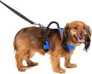 PetSafe EasySport Dog Harness – Adjustable, Padded Dog Harness with Control Handle and Reflective Piping – Extra Small, Blue