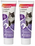 2XHairball Paste Two-in-One for Cats, 100 g