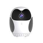 WiFi Camera, Wireless Network Monit