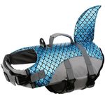 Beach Gear For Dogs