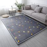 Loartee Coral Velvet Area Rug - 1" 