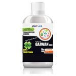 Kalpura GAJWAN ARK - Fungal Infections | Balance Vata, Pita & Cough Dosha - 500 ML