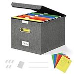 Forlogic File Organizer Box with Li