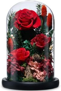 CuteWelt Preserved Roses,Forever Fresh Flowers 7.48in,Gift for Women,Mom,Grandma,Wife,Girlfriend,Sister,and Daughter Perfect for Birthday,Mother’s Day,Valentine’s Day (True Romance1)