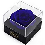 Kylin Glory Fresh Cut Flower Preserved Rose for Women Mom Wife Girlfriend - Flower Gift Real Rose Decor for Mother's Day Valentine's Day Wedding Party Celebration Birthday Anniversary (Blue)