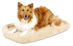 Aspen Pet Bolster Style Kennel Mat, 36-1/2 by 23-1/2-Inch