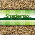 Shademax – Grass Seeds for Shady Ar