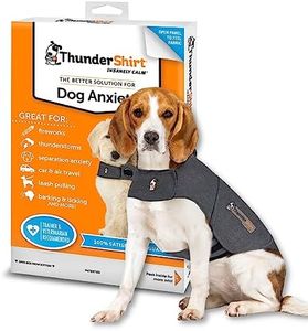 ThunderShi