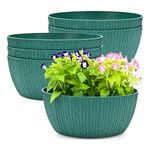 Eha Earth Friendly NatureNest 12 inch Pots for Plants | Bonsai Pots | Set of 6 | Bamboo Based, UV Protected Planters for Living Room | Plant Pots for Home Decor, Indoor & Outdoor | Fern