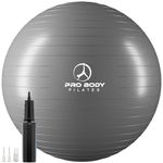 ProBody Pilates Ball Exercise Ball, Yoga Ball Chair, Multiple Sizes Stability Ball Chair, Gym Grade Birthing Ball for Pregnancy, Fitness, Balance, Workout and Physical Therapy Ball (Silver, 85 cm)