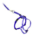 PetSafe Come With Me Kitty Harness and Bungee Cat Leash, Medium, Lilac