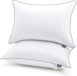 bien LIVING Ultra Soft Microfiber Anti Stress Bed Pillow for Sleeping & Neck Pain Relief for Back, Side & Stomach Sleeper, 17x27 Inches, White Grey, Pillow Set of 2