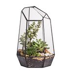 NCYP Opened Geometric Glass Terrarium for Succulent, Air Plants - 16.5 x 14.5 x 25 CM - Irregular Glass Planter Pot - Indoor Garden Tabletop Decor, Handmade, Black (No Plants)