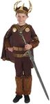 Fun Shack Boys Viking Costume Kids Boy, Kids Viking Costume Boys, Child Viking Costume Girl, Kids Viking Costume Boy, X-Large