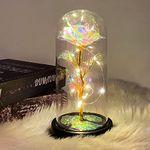 Gifts for Women Her Mom Preserved Flower Light Christmas Gifts Artificial Rose in Glass Dome Birthday Gifts for Women Mom Cadeau Femme