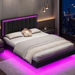 IMMERSTABLE Floating Bed Frame Quee