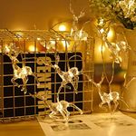 Christmas LED String Lights, Diamond Fairy Deer 10 LED 6.5ft Battery Operated Holiday String Lights for Christmas New Year Party Decor,Dress up Your Home,Porch, Front Path, Garden Or Yard. (Deer)