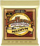 Ernie Ball Earthwood Medium 80/20 B