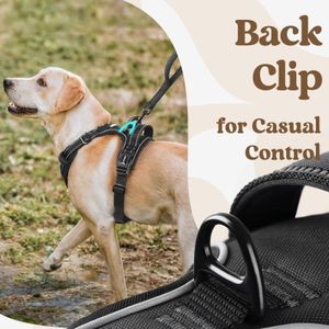 rabbitgoo Large Dog Harness – No-Pull Adjustable, Black