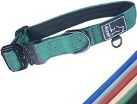 Kare9 Strong Padded Dog Collar Small/Medium Dogs | Adjustable: 33cm - 43cm | Secure Dog Collar | Durable Dog Collar w/Metal Buckle (Small, Green)