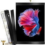 X-bet MAGNET Magnetic Poster Frame Hanger - Wooden Frame for Posters, Photos, Prints, and Pictures - Easy 30-Second Install (12 Inch, Black)