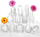 Bud Vases Set of 12, Glass Vase for