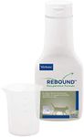 Rebound Recuperation Formula Feline