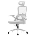 SIHOO M102C Ergonomic Mesh Office Chair, High Back desk chair with 3D Armrests, Up&Down Lumbar Support, Swivel Computer Task Chair, light gray