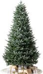 Balsam Hill European Silver Fir - E