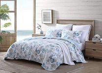 Tommy Bahama | Freeport Collection | Quilt Set - 100% Cotton, Reversible, All Season Bedding, Soft & Breathable Fabric with Matching Sham, Twin, Blue