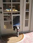 MaxSeal French Door Mount Pet Door 