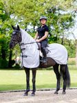 LeMieux Ride On Fly Rug - Detachable Neck - Saddle Cutout - Long Tail Flap - Grey - XLarge