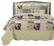 Tania Twin Size, Over-Sized Quilt 2pc set, Luxury Microfiber Printed Coverlet by sheetsnthings