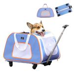 A 4 Pet Pet Carrier with Wheels, Cat Carrier for Pet up to 33 lbs. Collapsible Dog Carrier with Telescopic Handle, Breathable Mesh and Safety Rope, Light Blue