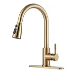 Brushed Gold Kitchen Faucet with Sp