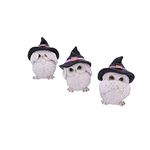 Nemesis Now Three Wise Feathered Familiars Owl Figurine 9cm, White U5736U1