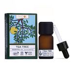 PHOOL LUXURY INCENSE Tea Tree Oil - Essential Oil Tea Tree For Acne, Skin And Hair Dandruff, 100% Pure Cosmos Organic And Ecocert Certified - User Manual And Dropper Inside